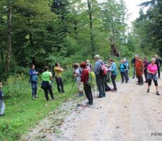 Logaški razglednik-Srnjak